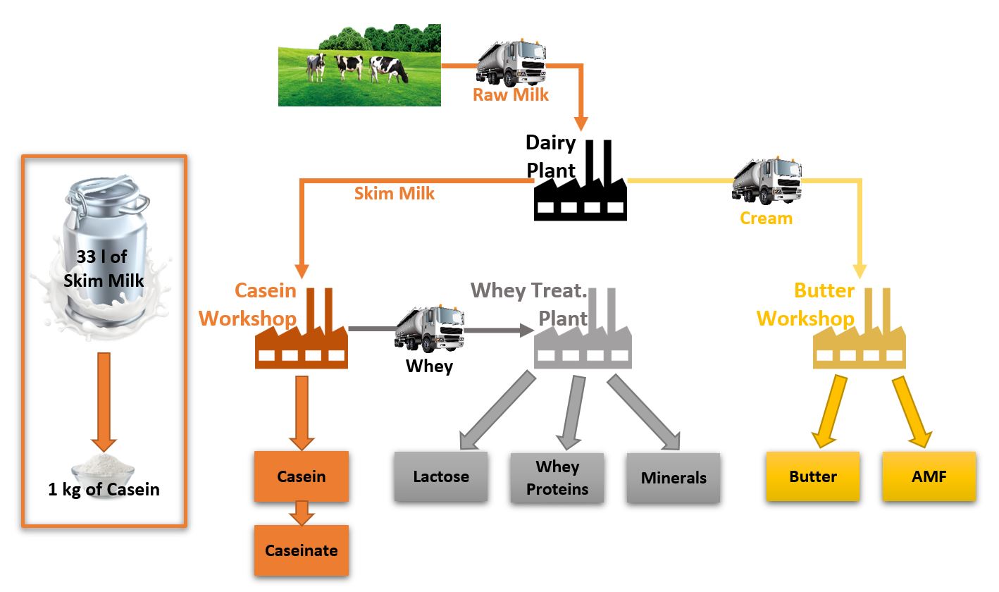 casein protein in milk project